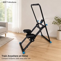 Equipo de Fitness Multifuncional Plegable de Hierro OEM, Máquina de Entrenamiento para Subir Escaleras, CN ZHE Hebei China