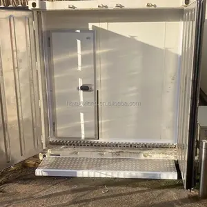 20Ft 40Ft Cold Storage Solar Power Container Cold Room Freezer For Fish Meat Fruits Vegetables