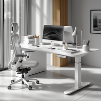 Mobilier de bureau à domicile Table élévatrice moderne à moteur unique et à 2 sections Table d'étude avec support intelligent Bureau électrique réglable
