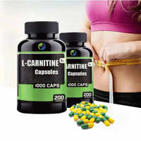 OEM ODM Halal L-Carnitine 60 Capsules 500mg Compléments Alimentaires Brûleur de Graisses Produit Amincissant Capsules de L-Carnitine