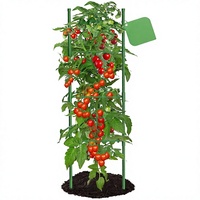 Supports de plantes de tomates réglables pour l'extérieur, piquets robustes en métal pour légumes grimpants et concombres, avec attaches pour plantes
