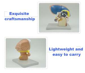 3x जीवन-आकार डाइनेसेफेलोन एनाटॉमी मॉडल. 4-भाग मस्तिष्क संरचना प्रदर्शक - Product Image 3