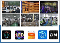 Écran LED moderne pour voiture, effet « yeux de démon », contrôle via application, animation DIY, panneau matriciel flexible pour vitres de camion