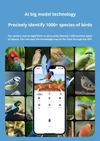 Mini caméra Wifi alimentée par énergie solaire intégrée à une mangeoire intelligente pour une expérience d'observation des oiseaux en HD Caméra de mangeoire pour oiseaux