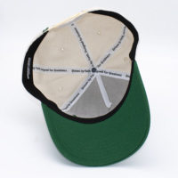 Gestructureerde Multi 3D Platte Geborduurde Logo Zomer Sport Pet Groothandel UV-bestendig 5 Panel Baseball Pet Katoenen Twill Dad Hat
