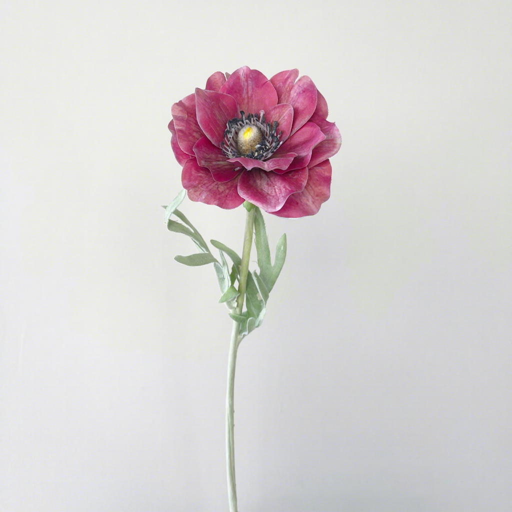Rose rouge