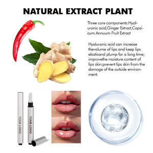 Brillo Labial Líquido Vegano, Orgánico, Resistente al Agua, Natural, de Larga Duración, 5 Colores, Secado Rápido, Hidratante, Lápiz Labial Líquido - Product Image 2