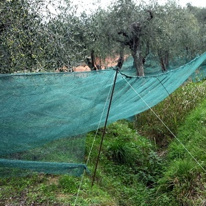 Malla de HDPE Virgen para Olivos con Ojales Metálicos Reforzados, Red Duradera para la Recolección de Aceitunas en Agricultura y Huertos de Olivos - Product Image 2