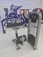 Machine d'extension des triceps ROSEN de qualité supérieure pour la musculation des bras en salle de sport commerciale