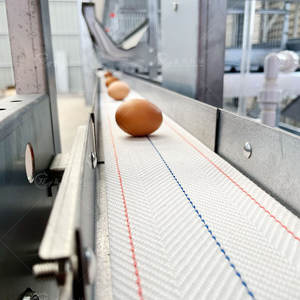 Équipement d'élevage Galvanisé à chaud A Type 4 Tier <span class=keywords><strong>Cages</strong></span> pour poulets <span class=keywords><strong>Cages</strong></span> pour poules pondeuses pour 5000 oiseaux - Product Image 4