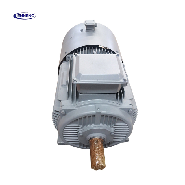 Enneng Electric Generator Alternator 3KW 10KW 30KW 500RPM Low Speed Permanent Magnet Wind Power for Renewable Energy