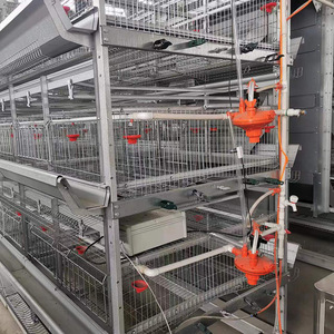 <strong>RTL</strong> Stainless Steel H Type Chicken Broiler <strong>Cages</strong> Automatic Animal Layer Chicken <strong>Cage</strong> for 1000 Birds Poultry Farm Use