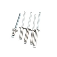 Usine acier inoxydable SS 304 316 ASTM B8M B8T tête ronde saillante extrémité ouverte Rivet aveugle DIN 7337 A