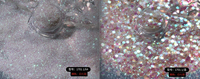 Paillettes hexagonales multicolores mélangées, paillettes épaisses blanches irisées pour le corps, le visage, l'artisanat, la décoration