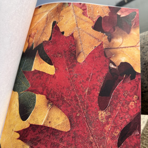 Comstar C-EXV49 NPG-67 GPR-53 <strong>Toner</strong> Compatible for Canon C3320L C3530 C3525 C3520 C3330 3325 3320 IRC 3020 NPG67 <strong>Toner</strong> <strong>Cartridge</strong> - Product Image 1