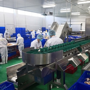 Equipo de Matanza de Aves de Corral de 500 BPH, Máquina de Sacrificio de Pollos, Patos y Gansos para Granjas - Product Image 5