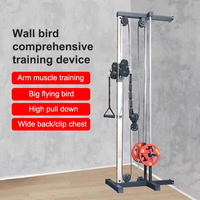 Équipement de fitness pour la maison, station de musculation murale en acier avec système de poulies double réglable, rack de musculation multifonctionnel 25KG