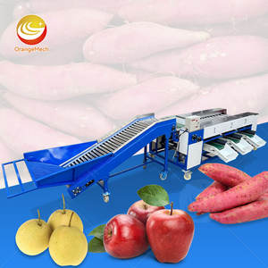 Machine de tri et de classement des fruits ORME, machine de traitement des fruits, machine de tri et de classement des tomates, machine de nettoyage et de tri par taille - Product Image 1