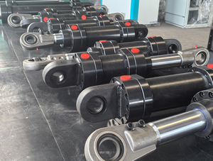 Cylindre hydraulique à double effet 100*125, marine et mini-tracteur, 4 tonnes, vérins de direction assistée pour rotation, chromé - Product Image 6