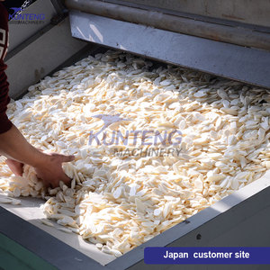 Totalmente automático seco rodajas de mango papaya Palma fecha cúrcuma almendra albaricoques lavado secado y máquina de embalaje línea de producción - Product Image 4