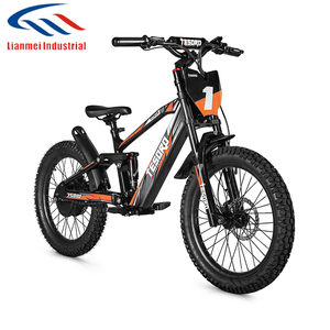 Vente en gros de vélo d'équilibre électrique pour enfants Bicyclette d'équilibre électrique de 20 pouces sans pédale - Product Image 2