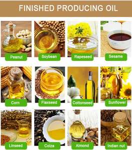 Prensa de Aceite Multifuncional y Duradera para Semillas de Girasol y Granos de Cacao para Venta al por Mayor - Product Image 3