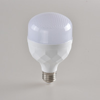 Ampoule LED Économique d'Énergie Personnalisée Super Lumineuse Haute Efficacité Lumineuse Culot E27 Jardin Faible Consommation