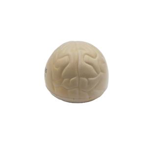 Jouet sensoriel en forme d'organe de balle anti-stress cérébrale spongieuse personnalisée pour enfants adultes soulagement de l'anxiété jouet Fidget amusant à presser - Product Image 3