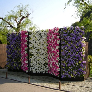 Jardinera Vertical de Alta Calidad Fabricada en China en 2018, Jardinera Vertical para Jardín Vertical - Product Image 5