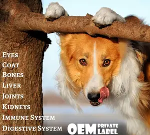 OEM/ODM Wholesale Pet Natural Supplements Drop Pet Hemp Calming Hemp Oil For Dogs
