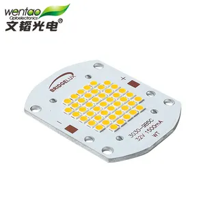 Bridgelux Chip Hot Sale 30V 50W treet Light Warm White Integrate SMD Lamp Bead