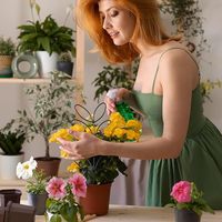 Treillis d'intérieur en fil métallique pour petites plantes Treillis de jardin en forme de feuille de fer de 12 pouces Petits treillis pour l'escalade