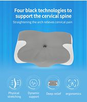 Oreiller Ergonomique Moderne Écologique en Mousse à Mémoire de Forme Inodore 200TC avec Support Orthopédique Cervical et Housse en Tissu à Contour Ondulé