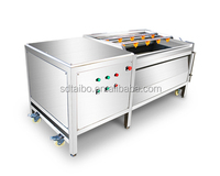 Machine à laver et à éplucher les légumes racines à petite échelle entièrement automatique à haut rendement