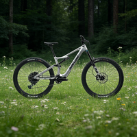 Vélo de montagne électrique Amflow PL Carbon Medium 800Wh Enduro, vélo électrique tout-terrain