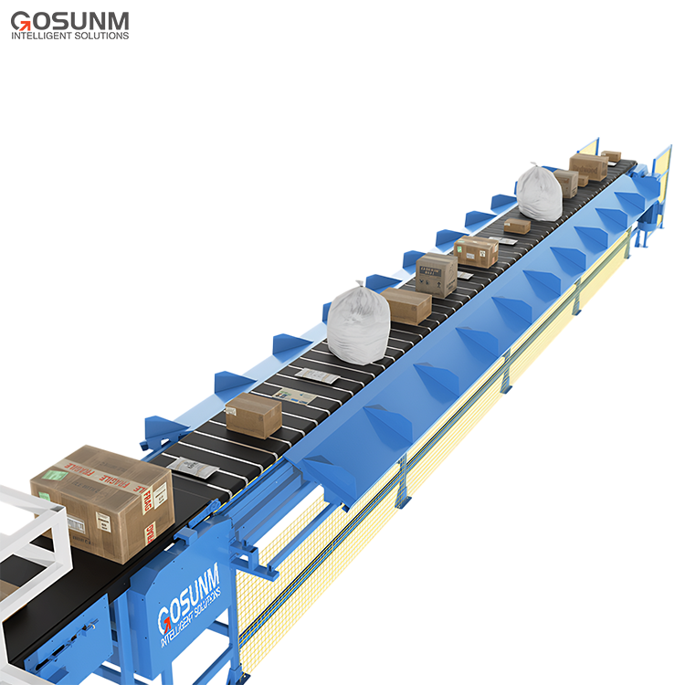 Automated Logistics Sorting Center Parcel Sorting