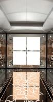 Ascenseur de traction AC sans engrenages Fareo FLA-K38 en acier inoxydable moderne, durable, sûr, installation facile, plancher PVC, pour appartement