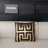 Ensemble de housses de coussin en velours décoratif de luxe de taille personnalisée pour la maison estampage à chaud moderne 45x45cm housses de coussin d'oreiller