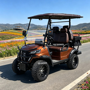 Modèle populaire de voiturette de golf électrique tout-terrain avec système de suspension indépendant pour utilisation en zone scénique montagneuse, villa ou parc - Product Image 1