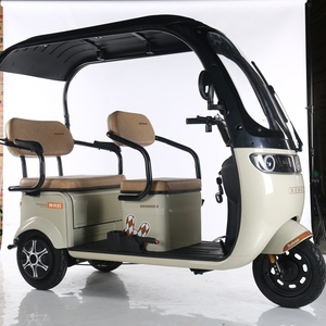 Triciclo Eléctrico Cerrado de 3 Ruedas para Adultos, Marca Q5, Fabricado en China, con Cubierta para Lluvia, Motor de 48V 600W, Velocidad Máxima de 50-70 km/h - Product Image 6