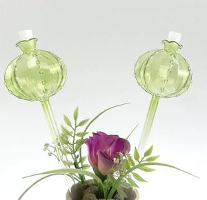 Porte-plante créatif en forme de <span class=keywords><strong>cactus</strong></span> vert pour le jardinage domestique Boîte d'eau en verre goutte à goutte automatique pour plantes vertes pour la maison - Product Image 6