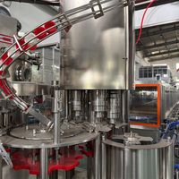 Machine d'emballage entièrement automatique pour bouteilles d'eau pure, usine de production d'eau en verre haute performance à vendre