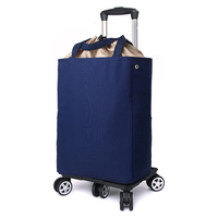 Chariot de courses pliable avec roues pour monter les escaliers, sac isotherme, capacité de 20 kg pour un transport et des courses faciles