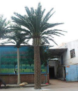 Arbre aux algues en <span class=keywords><strong>argent</strong></span> artificiel Grand palmier FRP Date de la mer Palmier Extérieur Intérieur Centre commercial Plancher <span class=keywords><strong>Faux</strong></span> arbre <span class=keywords><strong>D</strong></span>écoration Plantes - Product Image 4