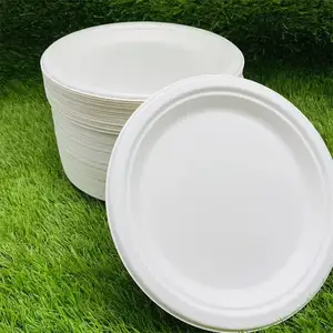 Customized 6 7 8 9 10 Inch Biodegradable Disposable Compostable Round Natural Brown Ivory Dinner Plates Great For Any Event