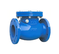 Vanne de canalisation en fonte ductile multi-usages, sans odeur, sûre pour l'eau potable, avec protection, raccord fiable