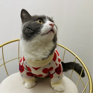 Suéter de Lana Tejido para Mascotas, Ropa para Perros Pequeños y Gatos, Estampado de Corazón Grande, Estilo de Dibujos Animados a Rayas, para el Día de San Valentín, Invierno y Primavera - Product Image 5