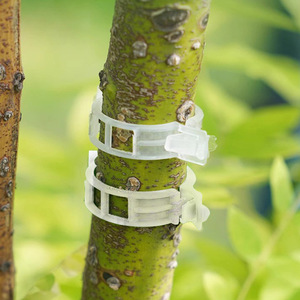 Plastic Vine Binding Clips Crystal Clear For Plant Support And Branch Fixing - Product Image 1