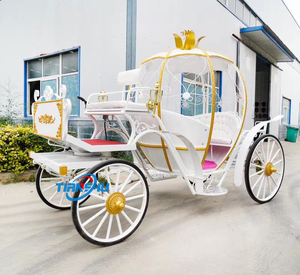 Grandiosa cenerentola carrozza trainata da cavalli regale visite all'aria aperta pratica principessa Buggy - Product Image 5