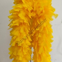 Boa en plumes de dinde épaisses et teintes de 200g, 300g, 350g, blanc, pour fêtes, spectacles, danseuses, costumes de burlesque et décoration